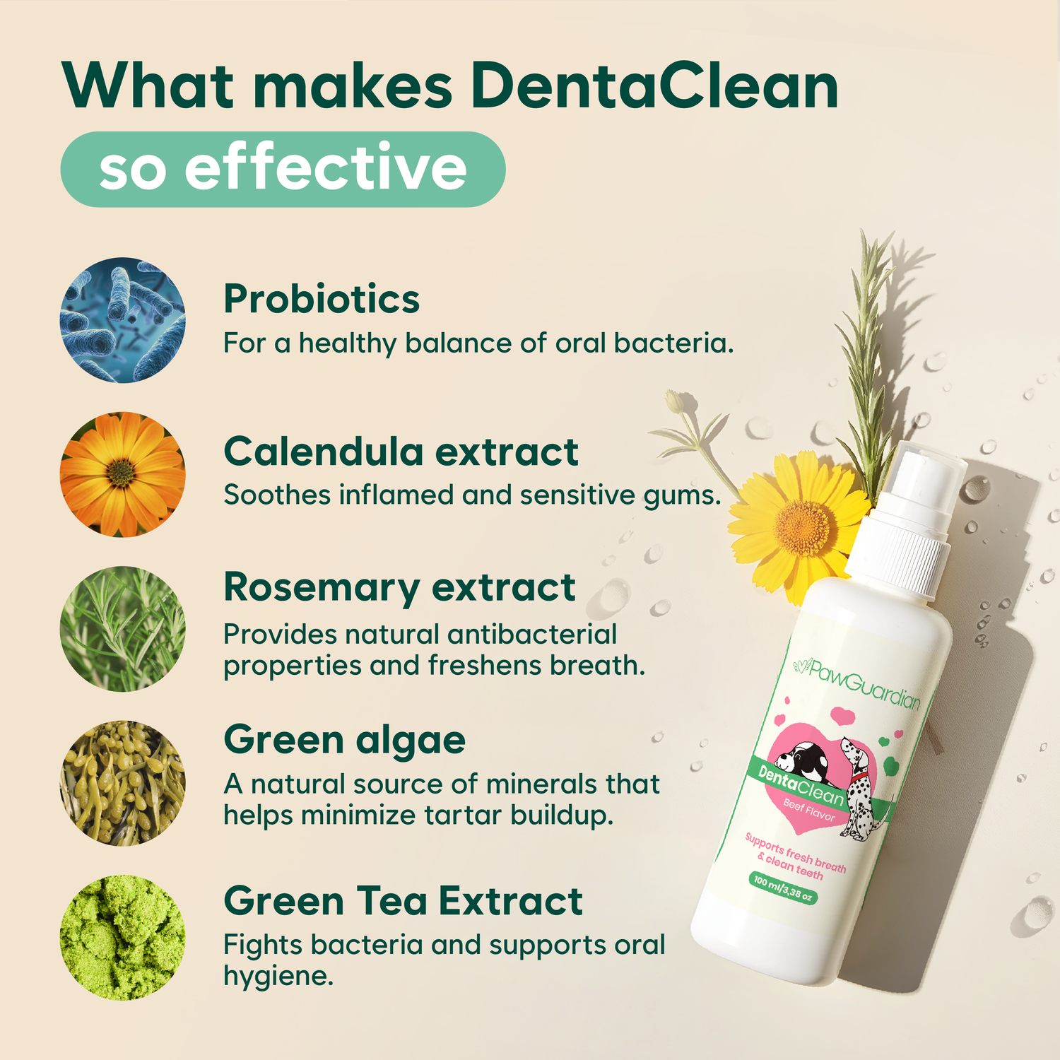 DENTACLEAN®